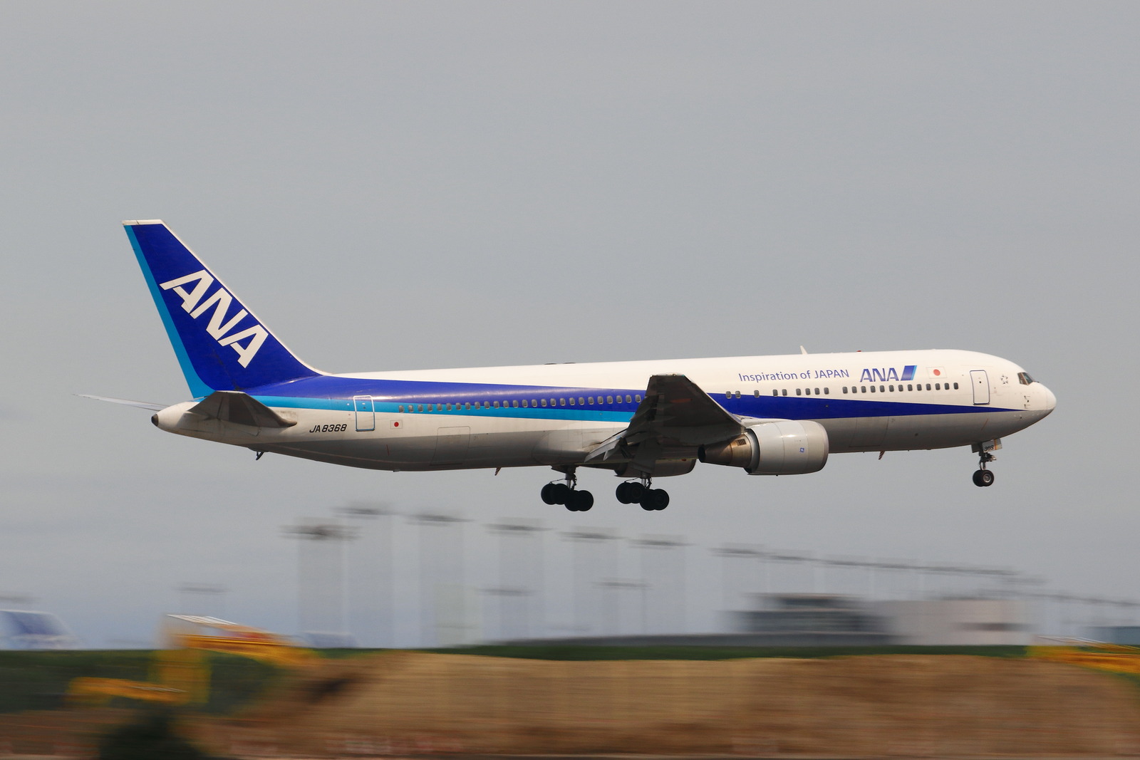 DPP_00607