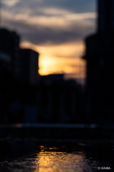 DSC09859_LRs