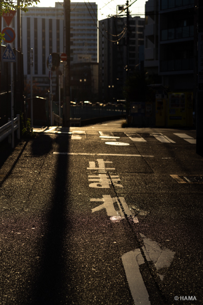 DSC00600_LRs