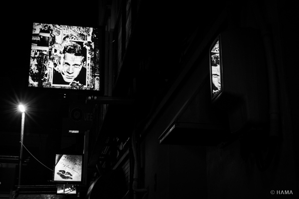 DSC02466_LRs