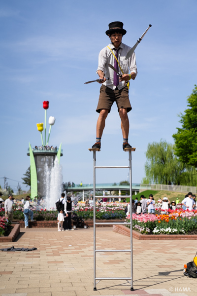 DSC07599_LRs