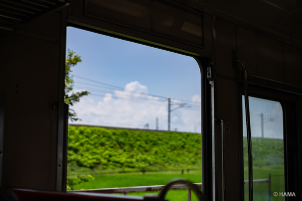 DSC00513_LRs