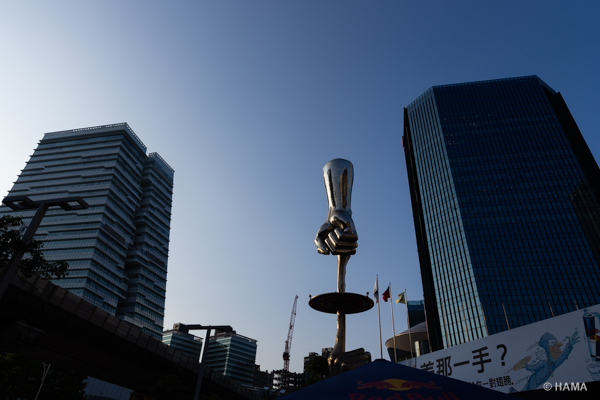 DSC08651_LRs