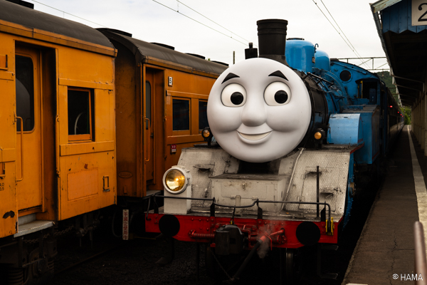 DSC01389_LRs