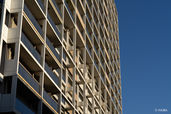 DSC00617_LRs