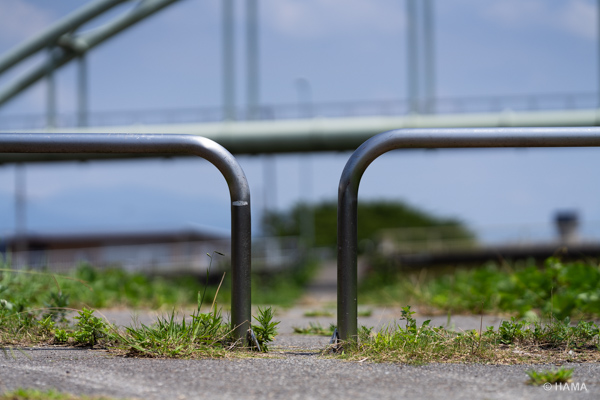 DSC00124_LRs