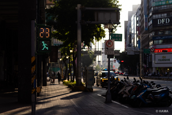 DSC08336_LRs