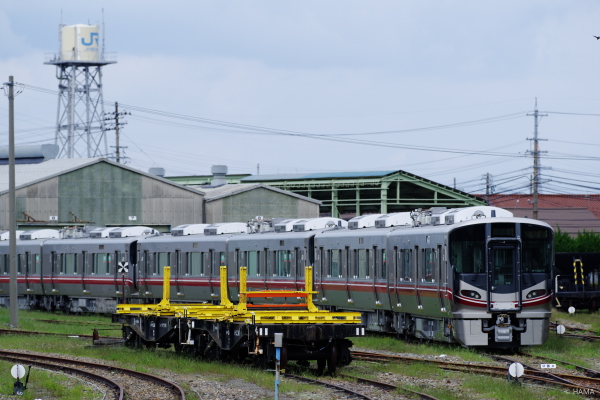 IMGP8985pef_s