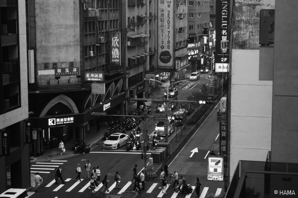 DSC08719_LRs