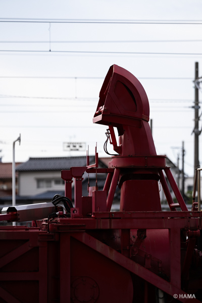 DSC09956_LRs