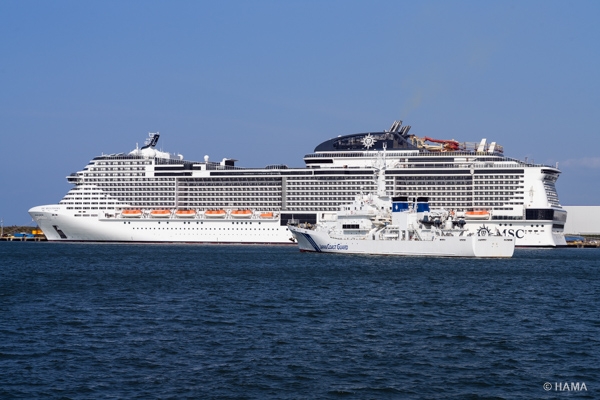 DSC00638_LRs