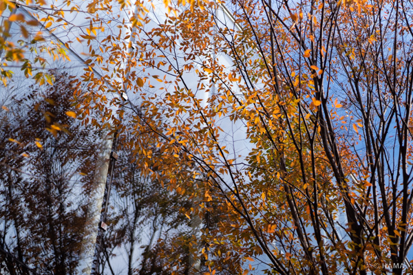DSC01148_LRs