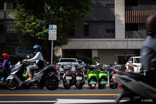 DSC08353_LRs