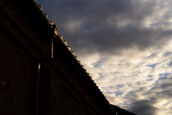 DSC00956_LRs