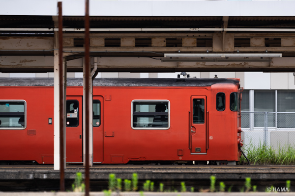 DSC09809_LRs
