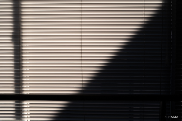 DSC01234_LRs