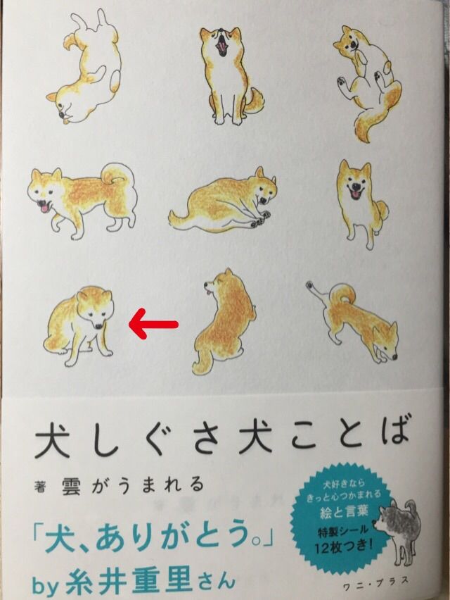 犬しぐさ犬ことば 勝手に かてキャン のび太とノビノビ日記
