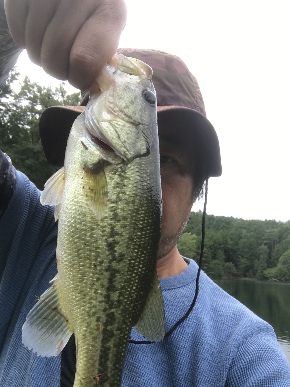 シマノ ゾディアス破損 広島でゆっくりまったりバス釣りを楽しむ日記