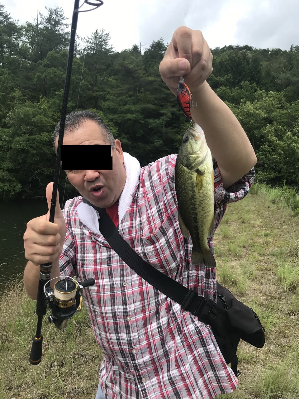 広島でゆっくりまったりバス釣りを楽しむ日記 ゴリラ池