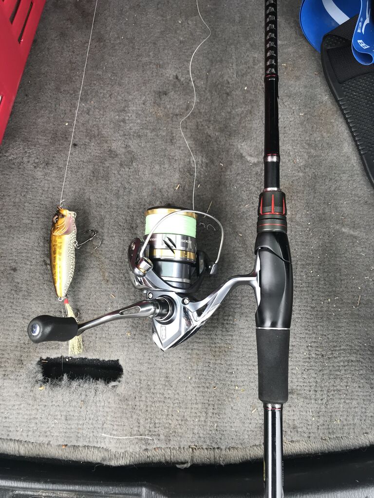 広島でゆっくりまったりバス釣りを楽しむ日記 ゴリラ池