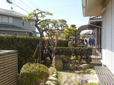 DSCN0483
