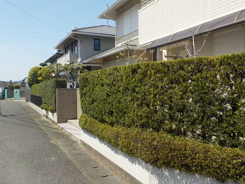 DSCN0485