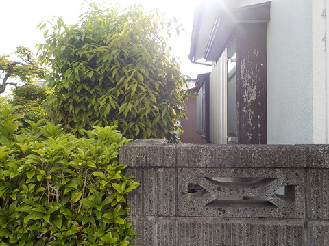 DSCN0491