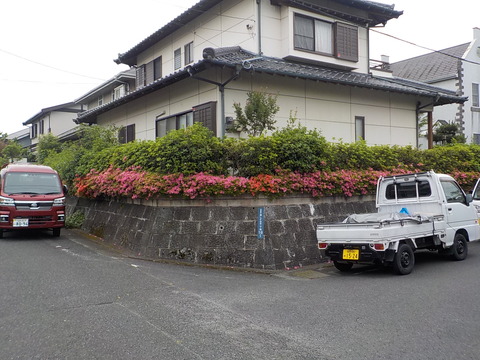 DSCN0502