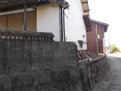 DSCN0619