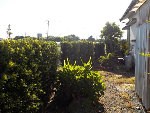 DSCN0497