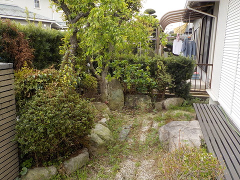 DSCN0477