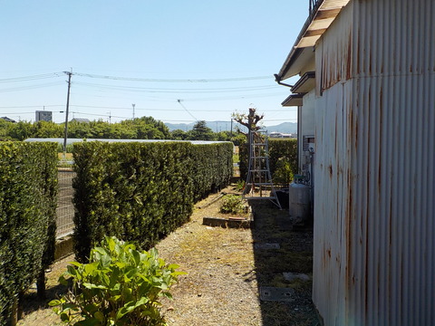 DSCN0501