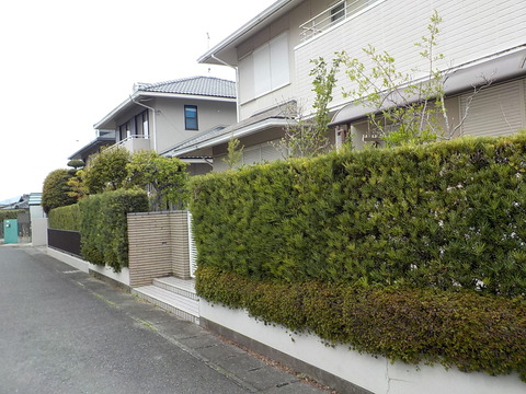 DSCN0480