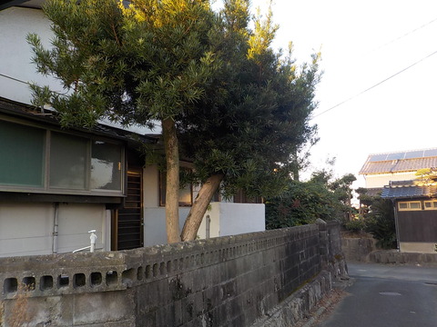DSCN0616