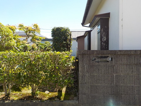 DSCN0498