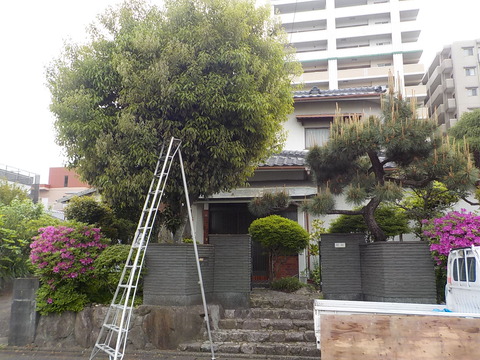 DSCN0489