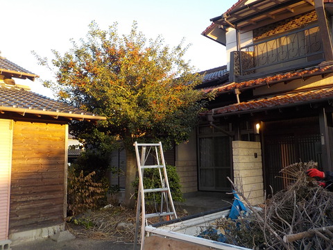 DSCN0615