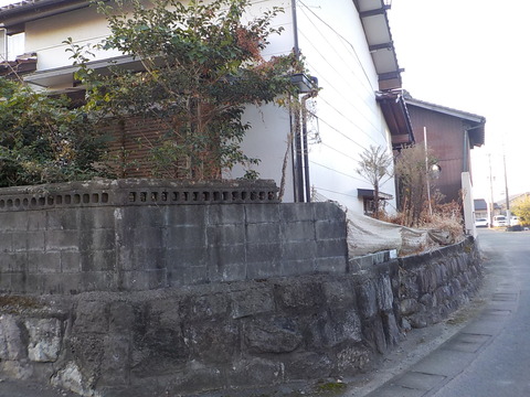 DSCN0617