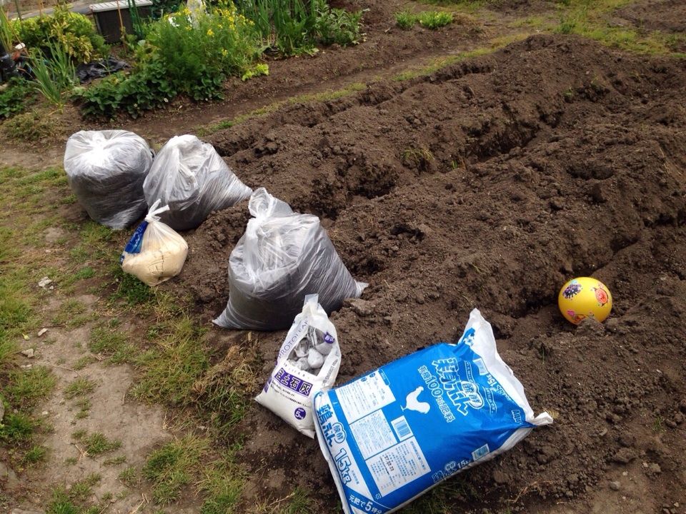 畑生活の始まり 玄米のとぎ汁乳酸菌から始まったロハスな暮らし