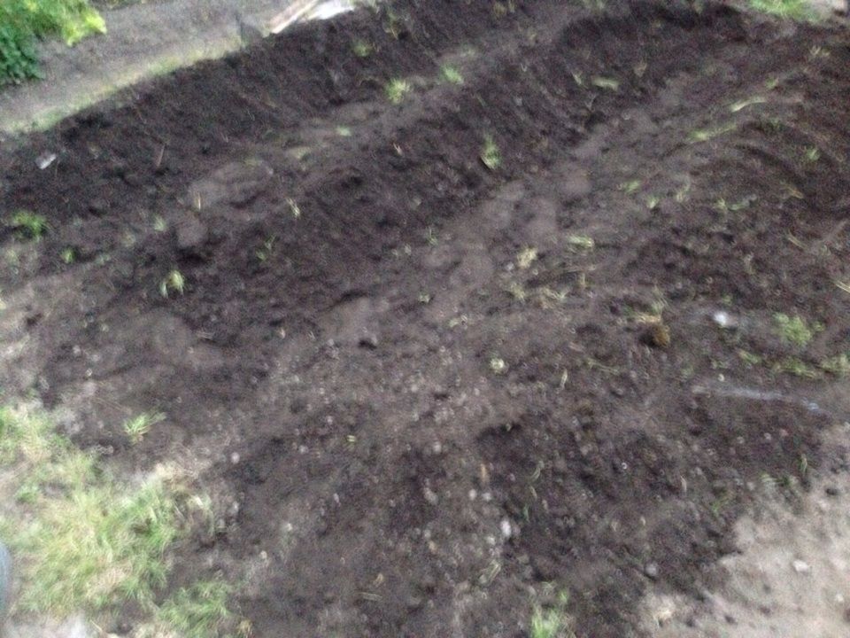 畑生活の始まり 玄米のとぎ汁乳酸菌から始まったロハスな暮らし