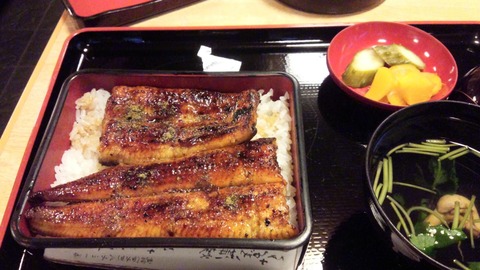 unagi-hikuma