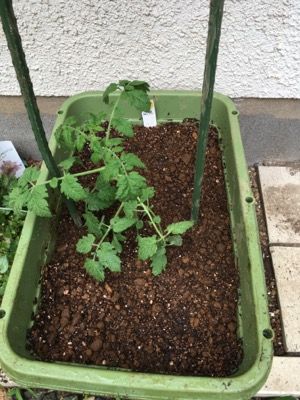 E3470808-062D-407A-A494-43AFED855AD5