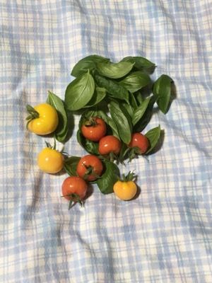 A9C5D308-6BFF-4A73-A764-EAFF6B8A127C