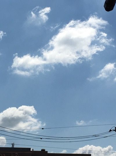 1AC74B82-F999-4938-B4B5-55D01CAF4586