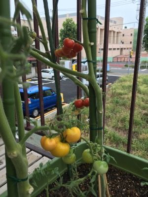 206158AE-CCCE-4866-9855-C2EA22114360