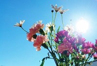 IMG_2283-11 (400x274)