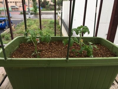 4A4C270E-2835-4260-A999-A2B90DB82F6D