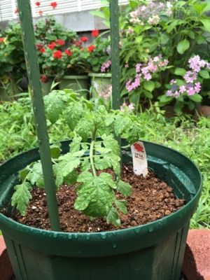 67714227-DCAC-41DE-87CB-9375E00C4D6C