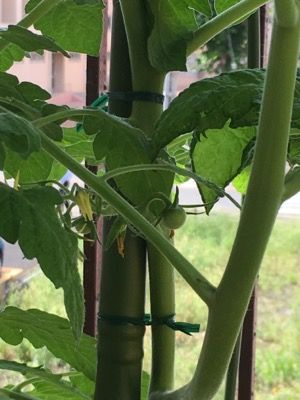 146BAB9A-A0BE-4A9D-8E6E-867FB44407EB