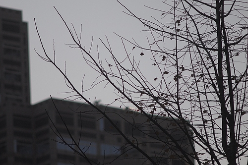 PC222985_s